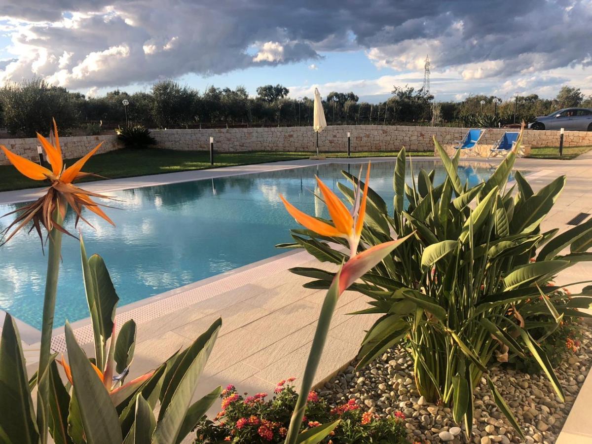 I Trulli Di Gina Appartamento Trullo 6 Persone 莫诺波利 外观 照片