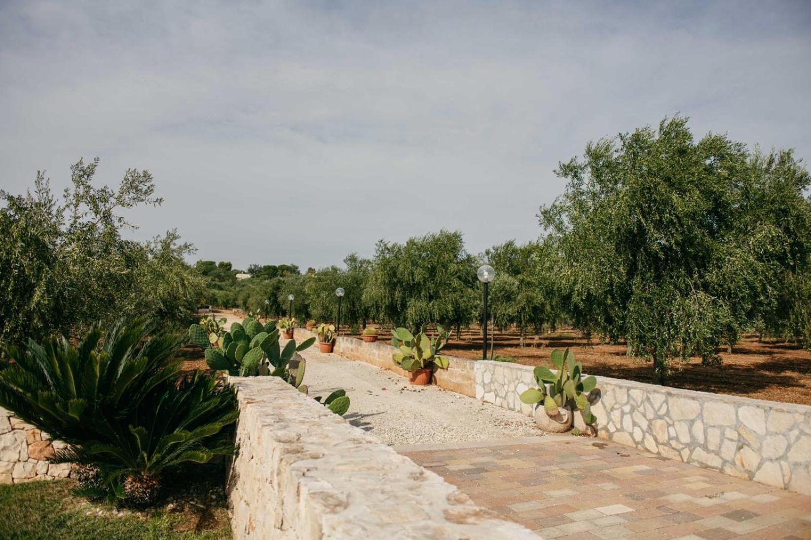 I Trulli Di Gina Appartamento Trullo 6 Persone 莫诺波利 外观 照片