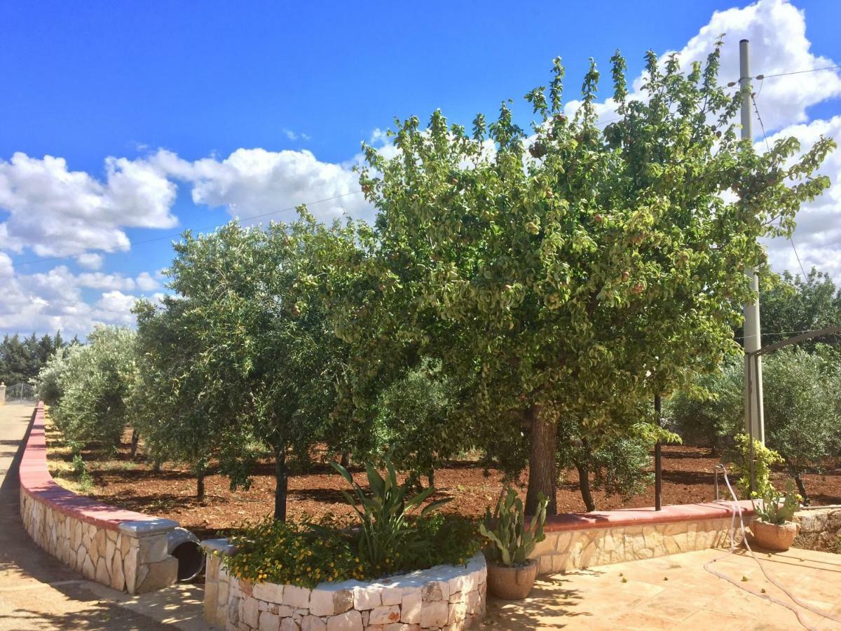 I Trulli Di Gina Appartamento Trullo 6 Persone 莫诺波利 外观 照片